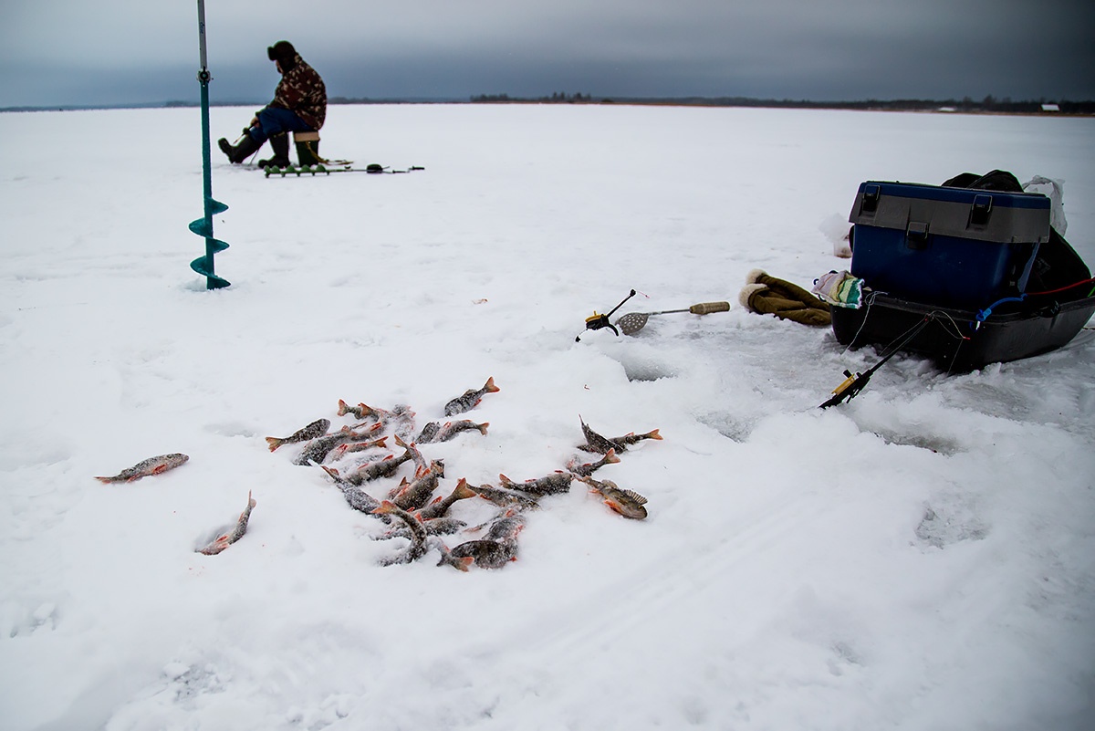 Ловля рыбы в зимних условиях