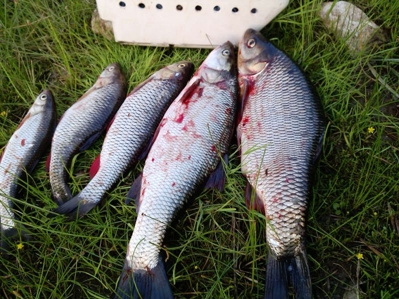 Рыбалка на реке Чусовая