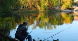 Особенности рыбалки в сентябре: какую рыбу можно поймать