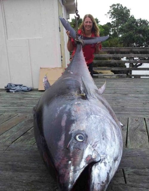 Большой тунец
