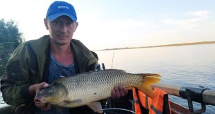 Рыбалка на Истринском водохранилище Московской области